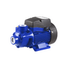 Casting Iron Pump