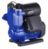 Peripheral/Vortex Pump Booster Pump