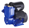 Peripheral/Vortex Pump Booster Pump