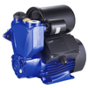 Peripheral/Vortex Pump Booster Pump