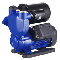 Peripheral/Vortex Pump Booster Pump
