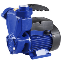 Peripheral/Vortex Pump PS series